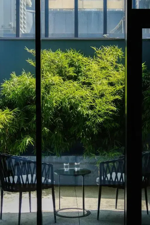 Foto - Episode Tbilisi