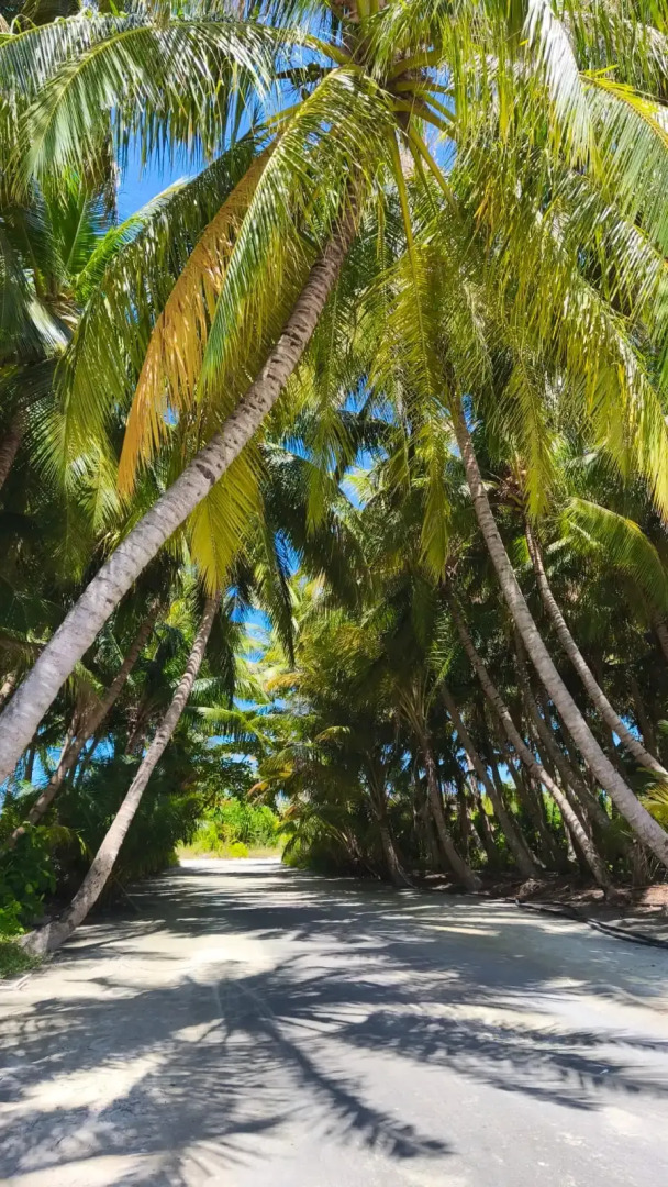 Photo - Oceana Inn Maldives -Free airport assistance at both international and domestic airports
