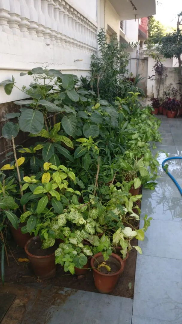 Photo - Abode Homestay