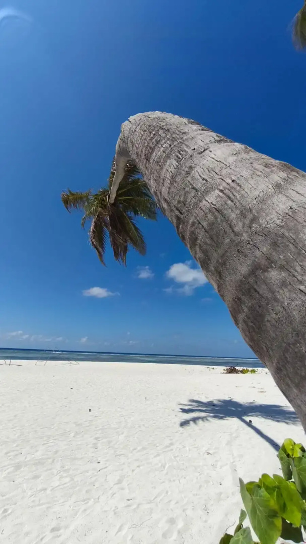 Photo - Oceana Inn Maldives -Free airport assistance at both international and domestic airports