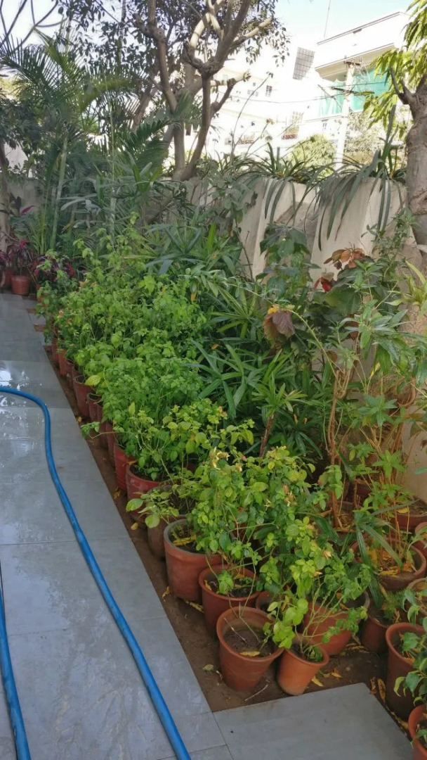 Photo - Abode Homestay