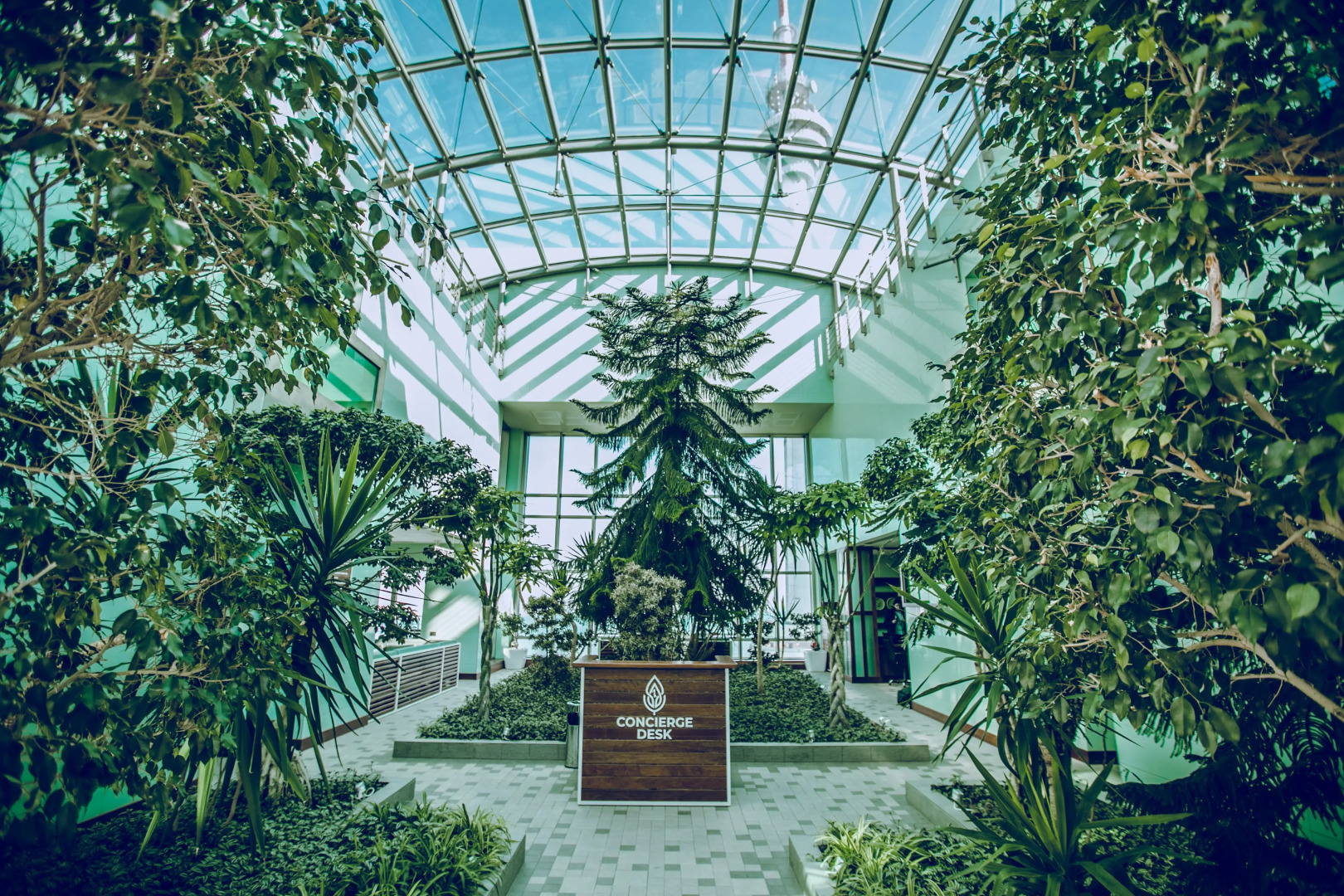 Photo - Badam d'Art Boutique Hotel