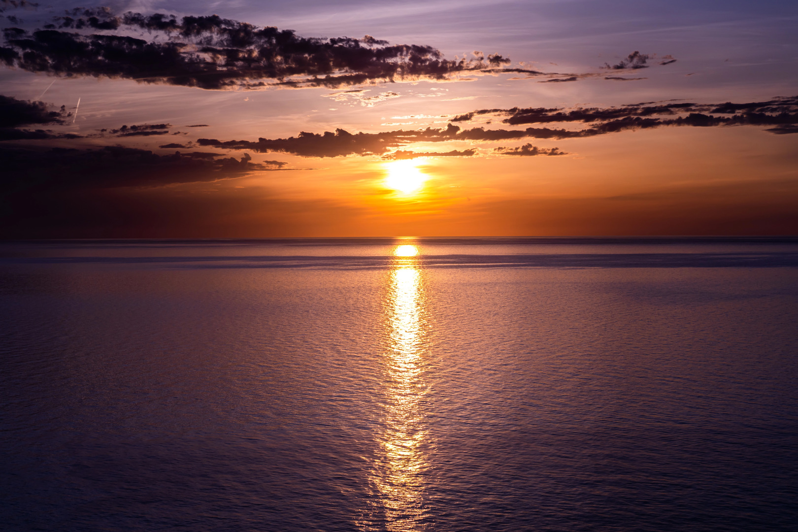 Photo - Alliance Palace Batumi