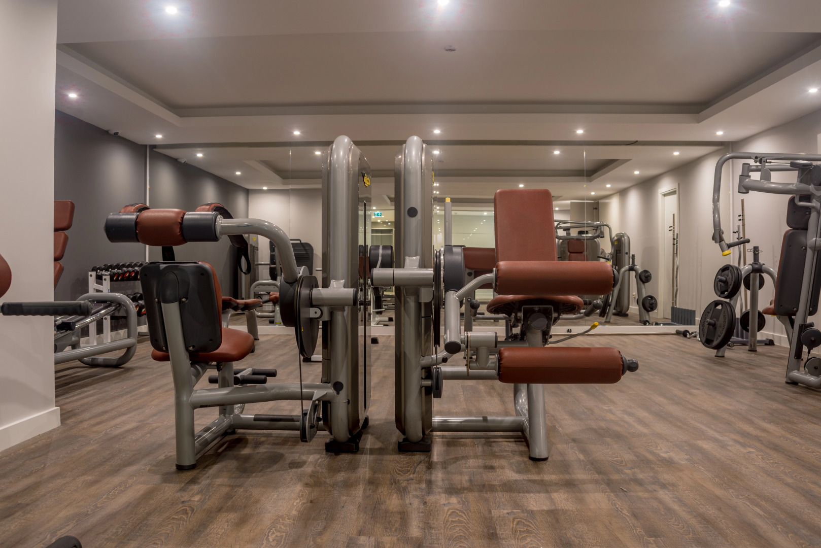 Foto - Flor Da Rocha