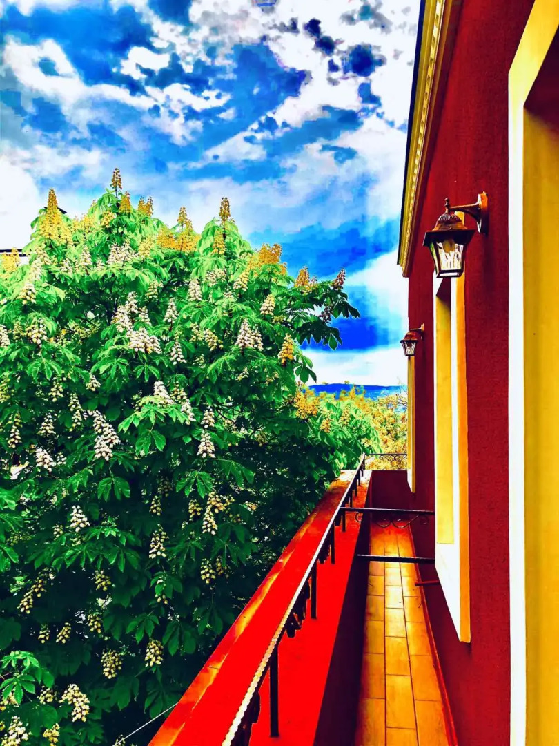 Foto - Hotel British House