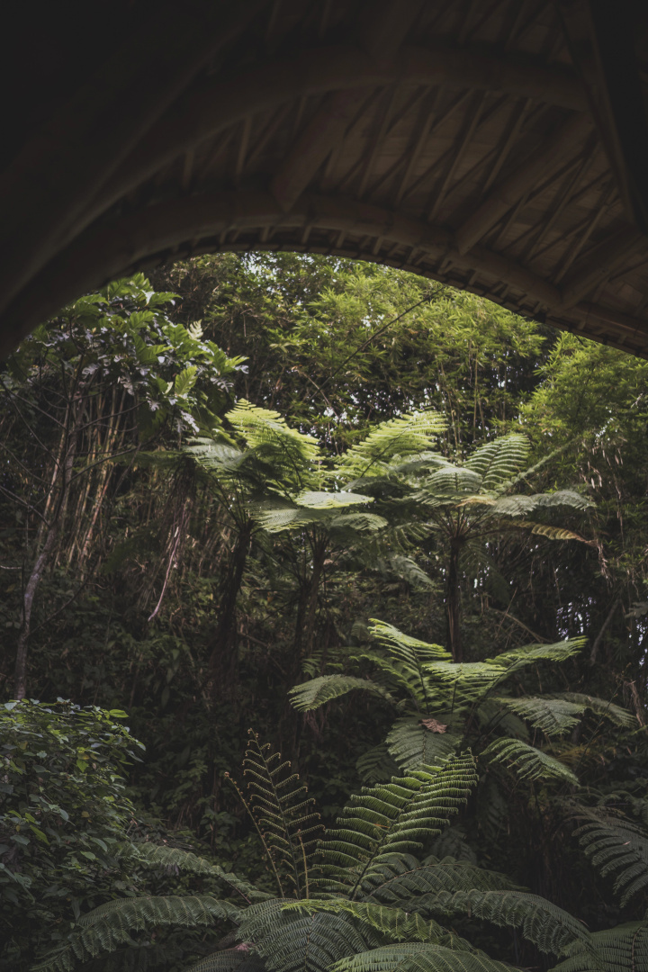 Photo - Aksari Resort & Spa Ubud by Ini Vie Hospitality