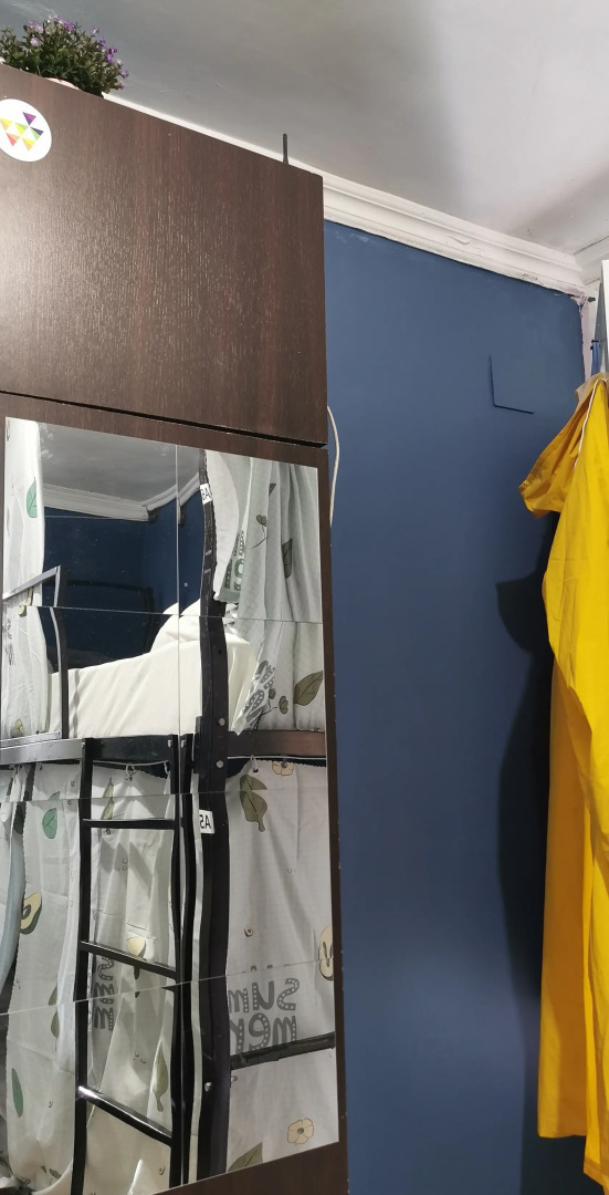 Photo - Harmony Backpackers Hostel