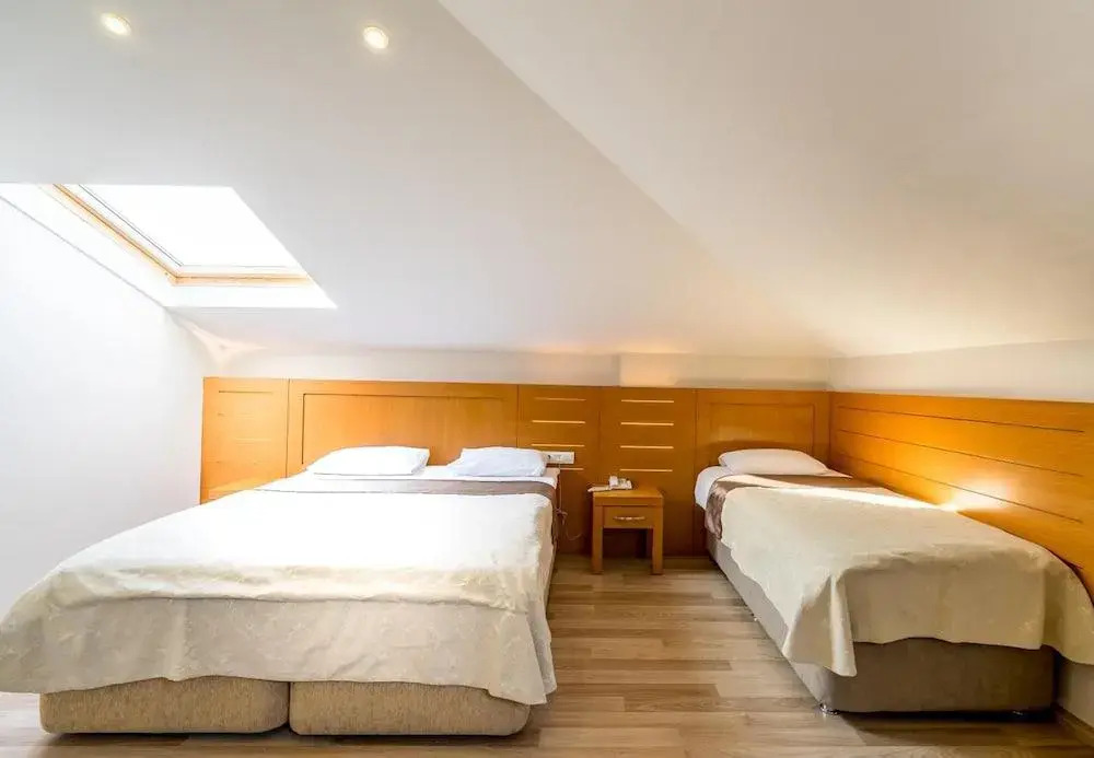 Foto - My Rose Hotel