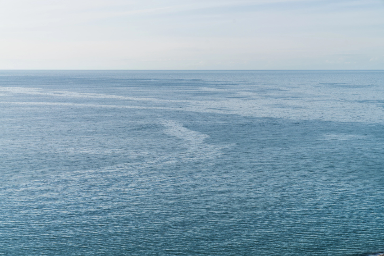 Photo - Alliance Palace Batumi