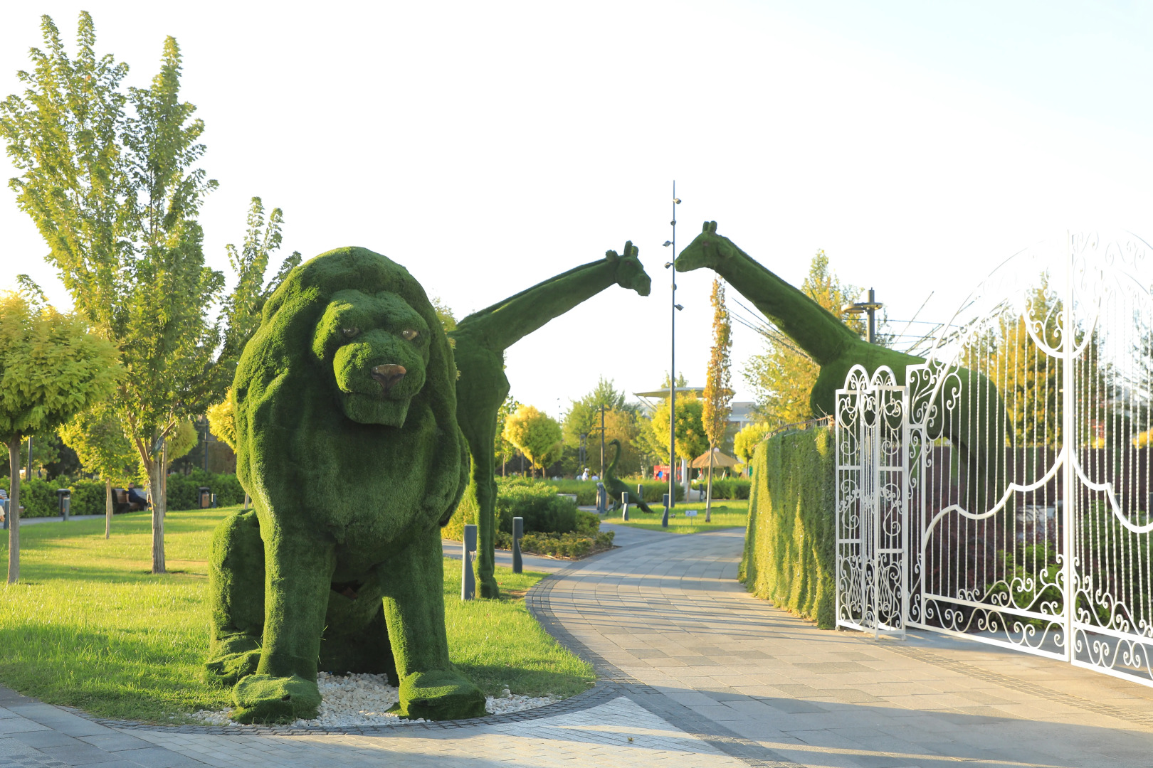 Foto - Doo Hostel Tashkent city