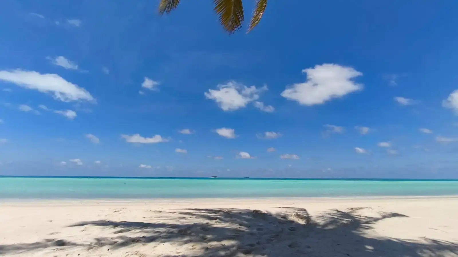 Photo - Oceana Inn Maldives -Free airport assistance at both international and domestic airports