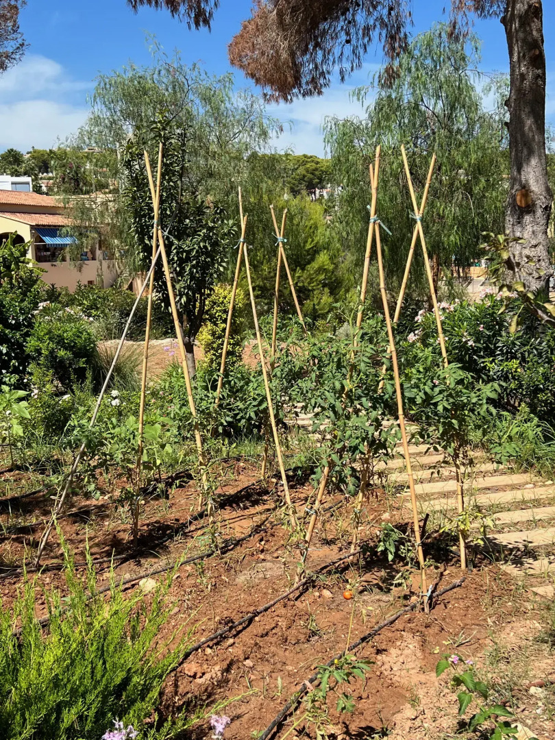 Photo - Hotel Serawa Moraira