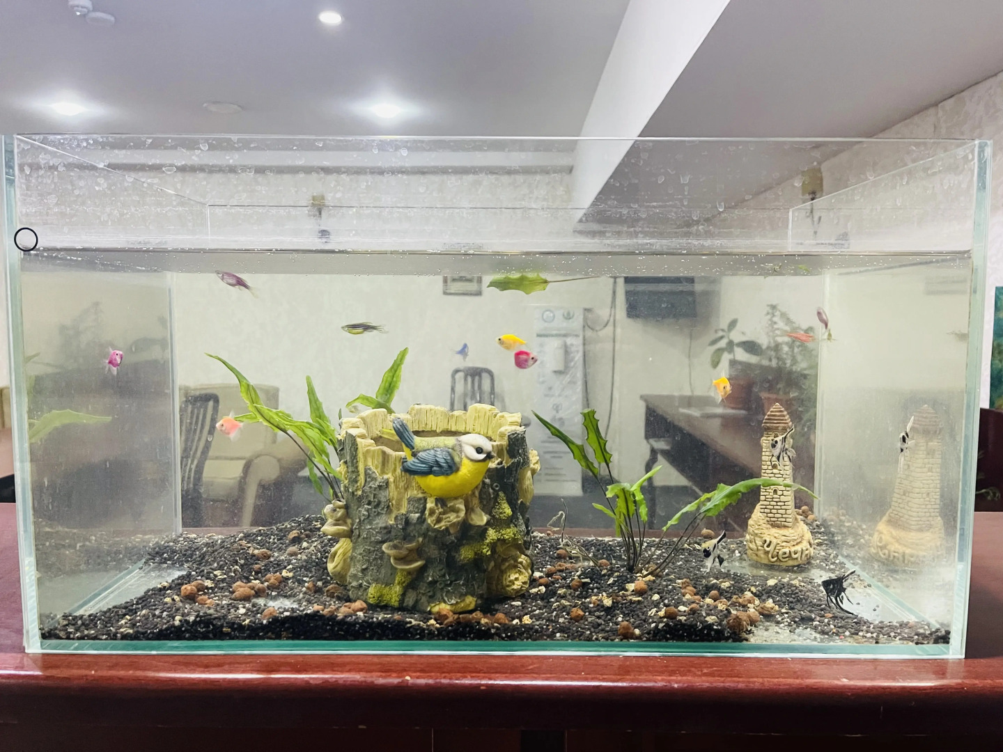 Foto - Abu Arena Hall