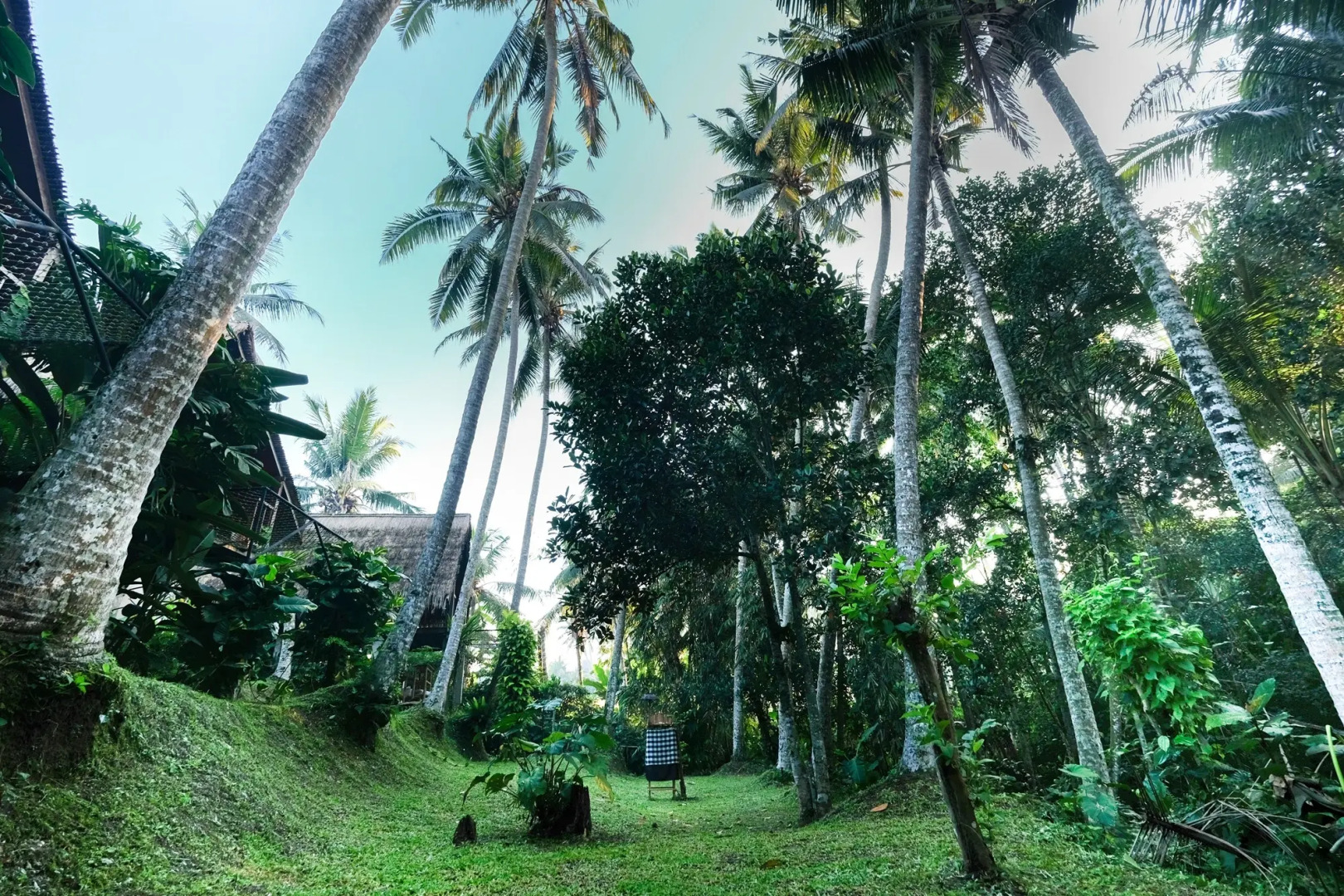 Foto - Ubud Jungle Stay - Mahari by WAHM