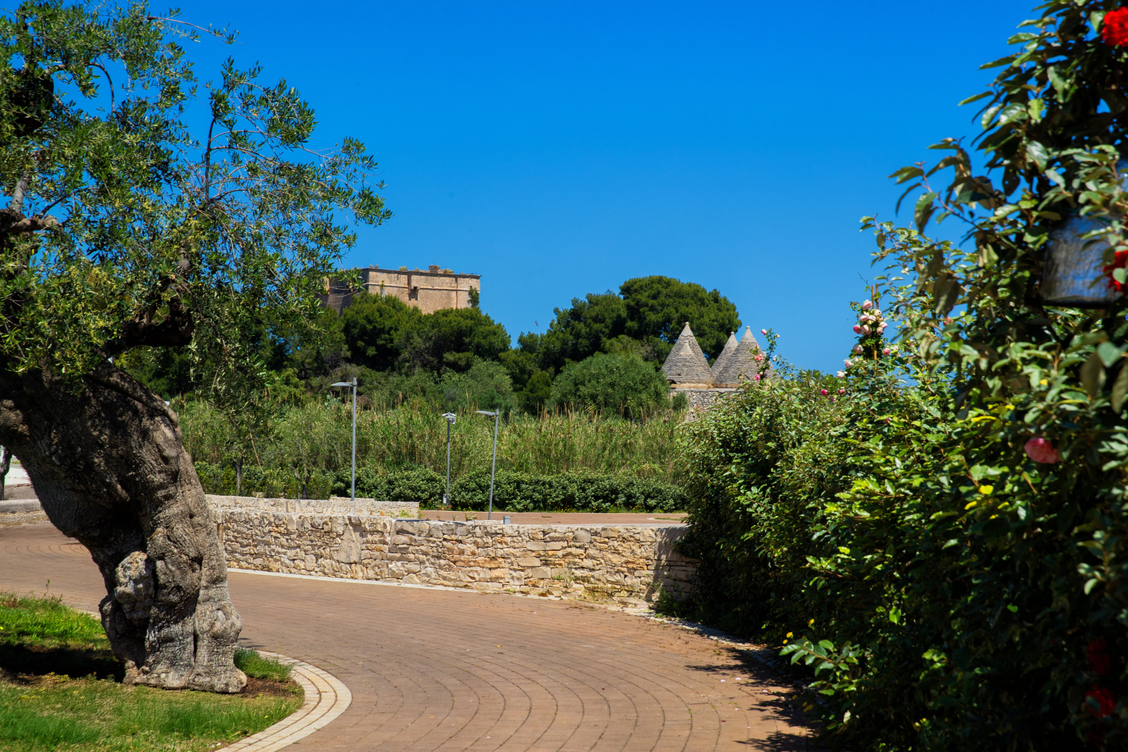 Foto - Cala Ponte, a Tribute Portfolio Hotel