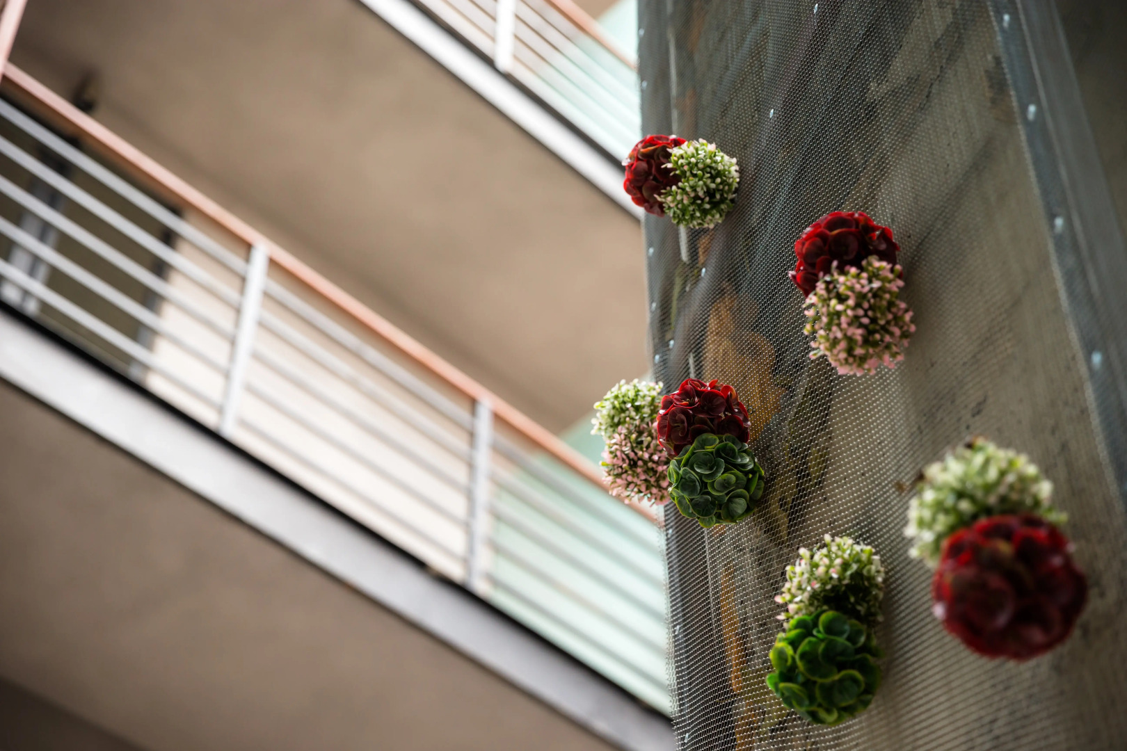 Foto - Brosse Garden