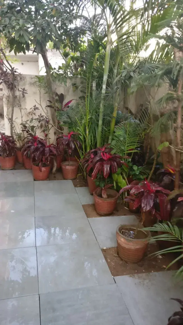 Photo - Abode Homestay