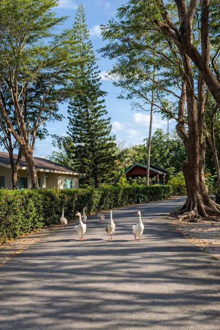 Foto - Fisherman Way Beach Villa