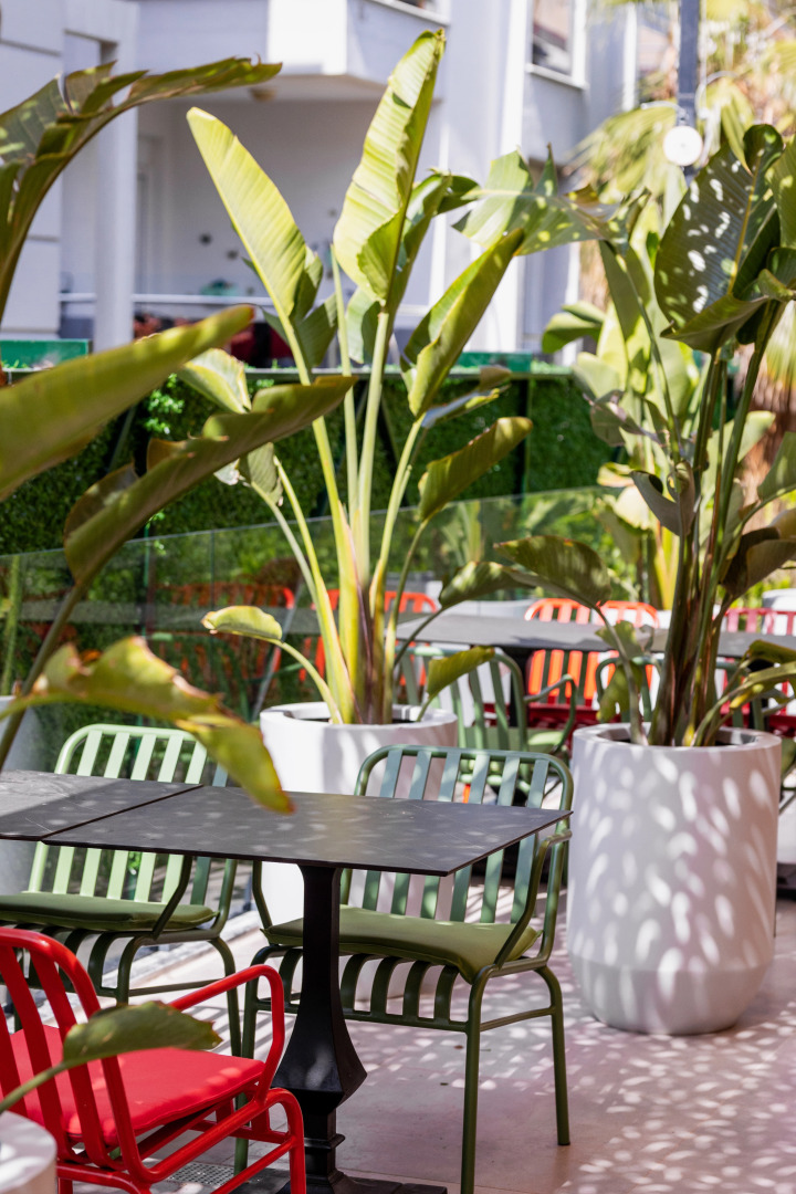 Foto - Luff Living - Adult Only 12 Plus