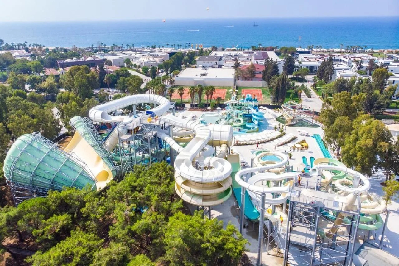 Photo - Paloma Finesse Side