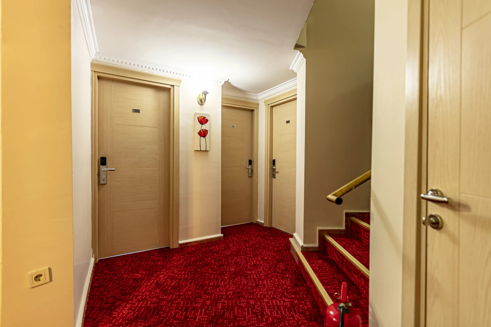 Foto - Elasophia Hotel