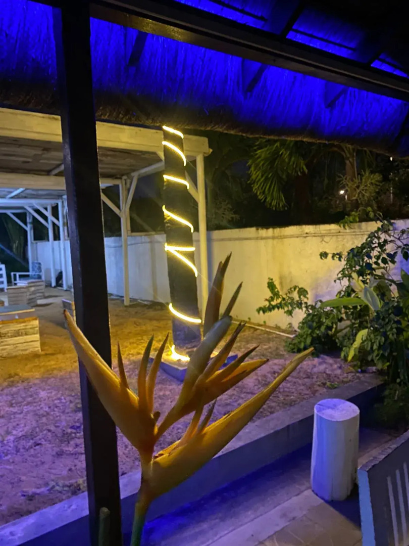 Photo - Stella Rina "Adults Only"