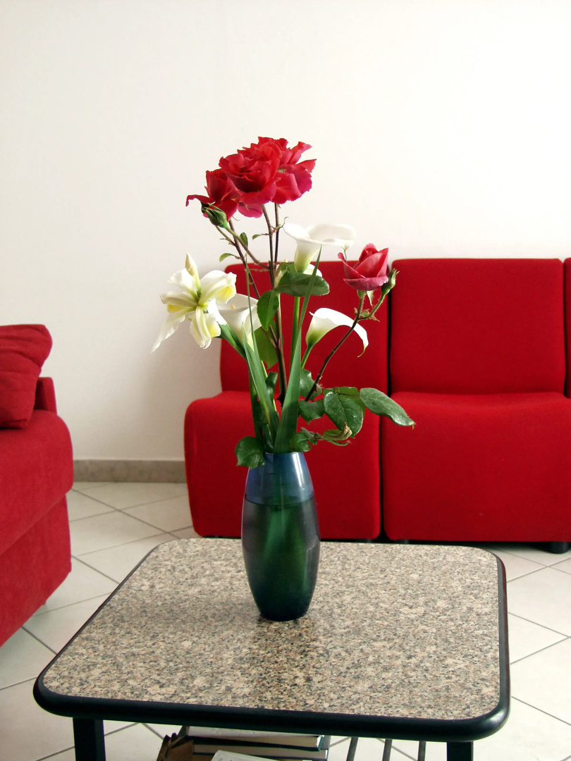 Foto - Hotel Trinidad
