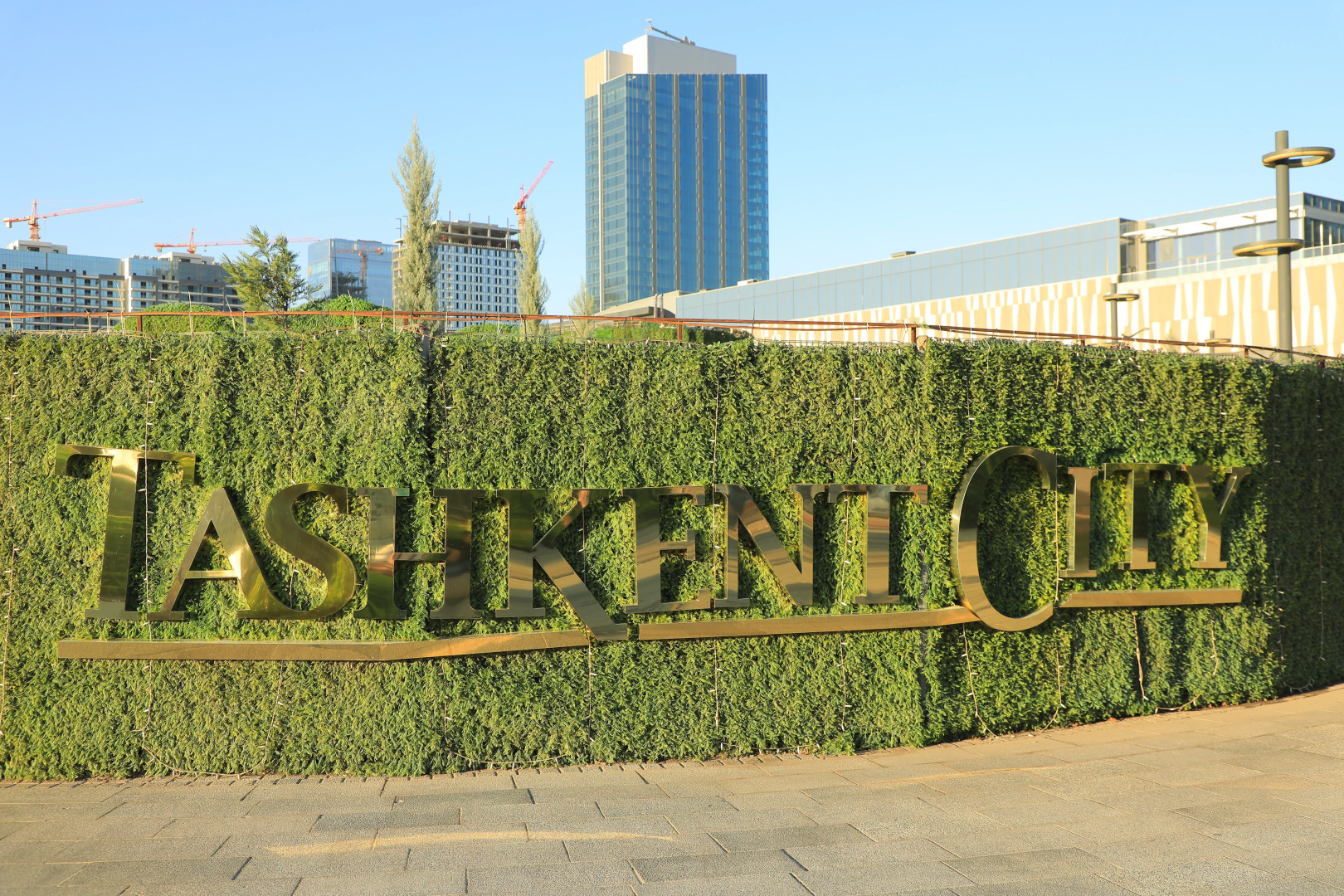 Foto - Doo Hostel Tashkent city