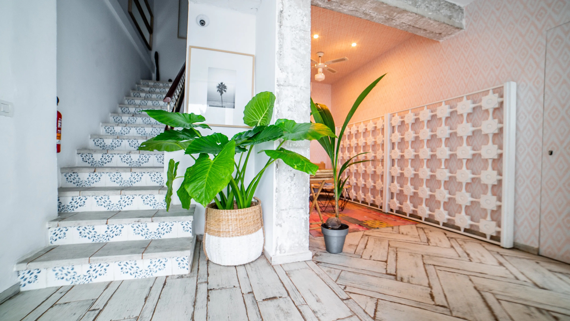 Foto - Duna Hotel Boutique