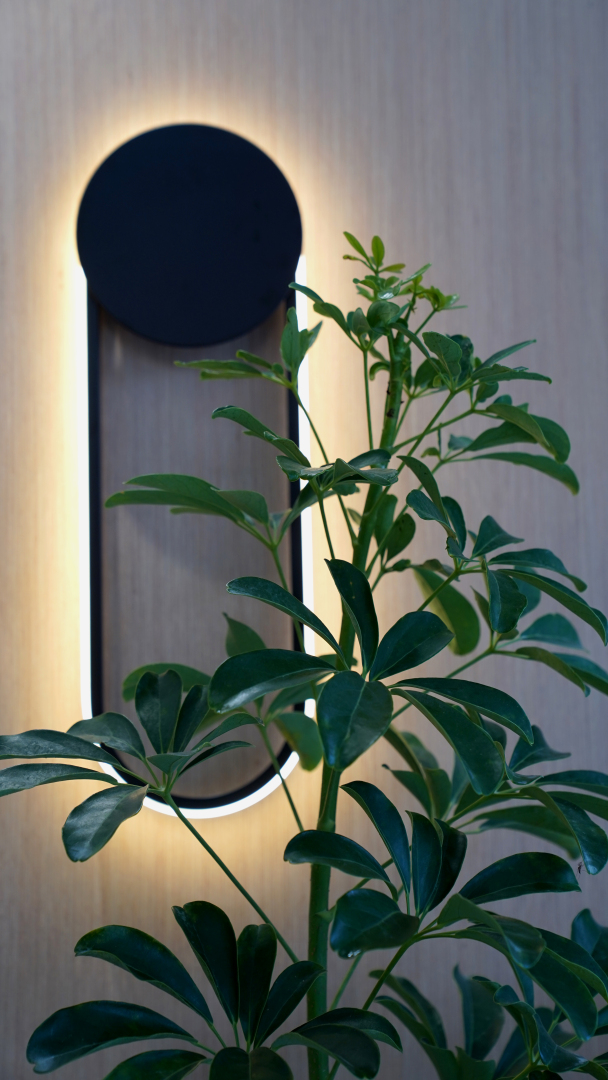 Foto - Hotel Shosh Modern