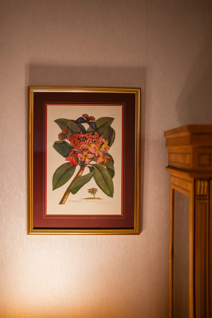 Foto - Chelsea Plaza Hotel