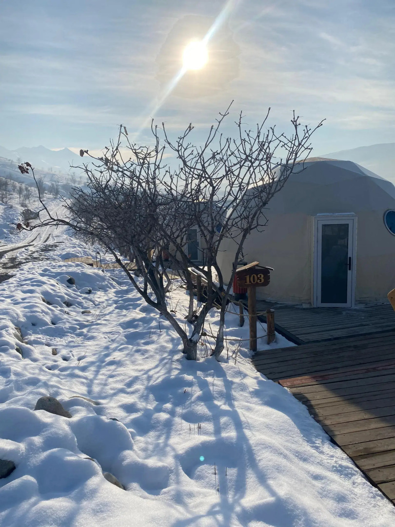 Foto - EcoHouse Glamping by ART HOTEL