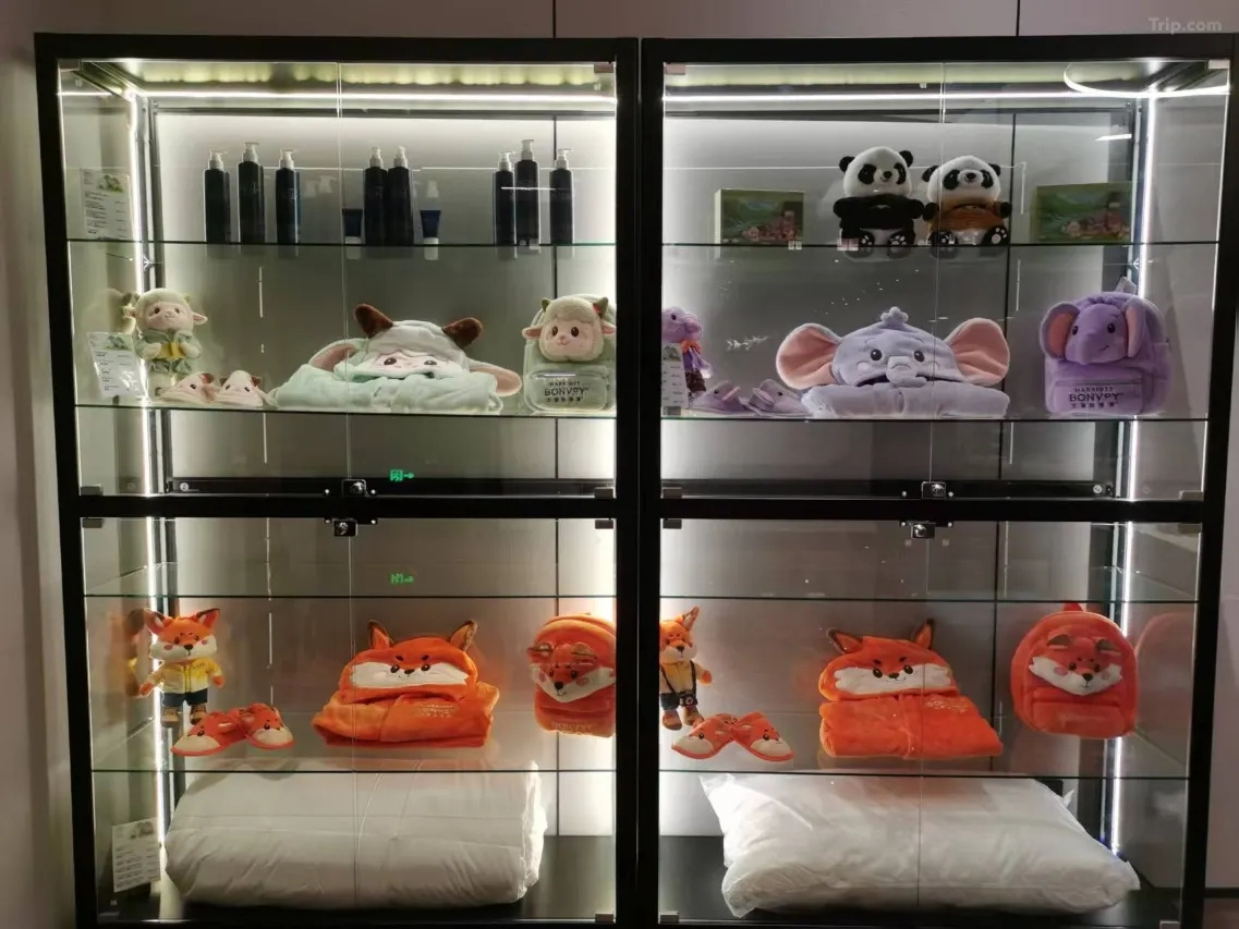 Photo - Four Points by Sheraton Chengdu, Chunxi Road