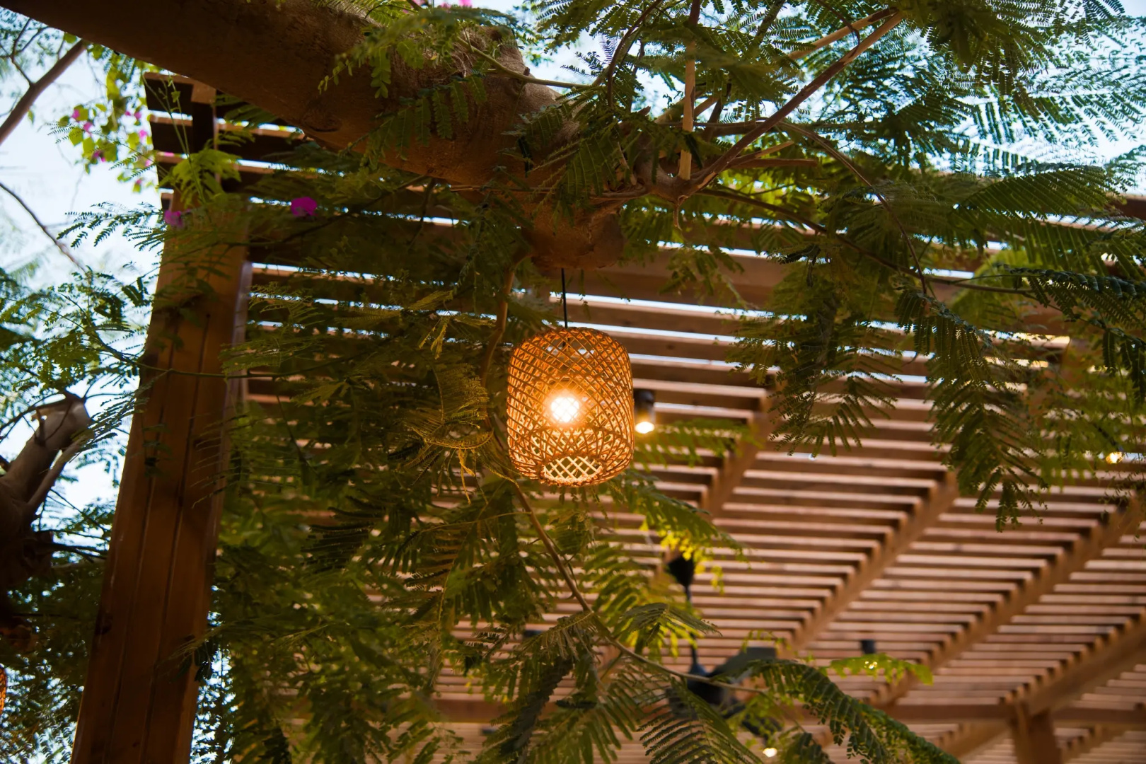 Photo - Jewels Sahara Boutique Resort