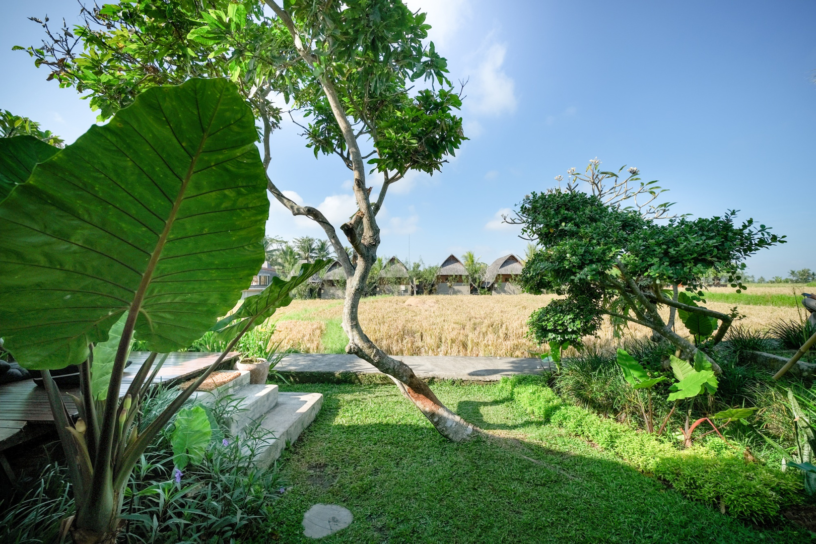 Foto - Ubud Rice Field Stay - Mahari by WAHM