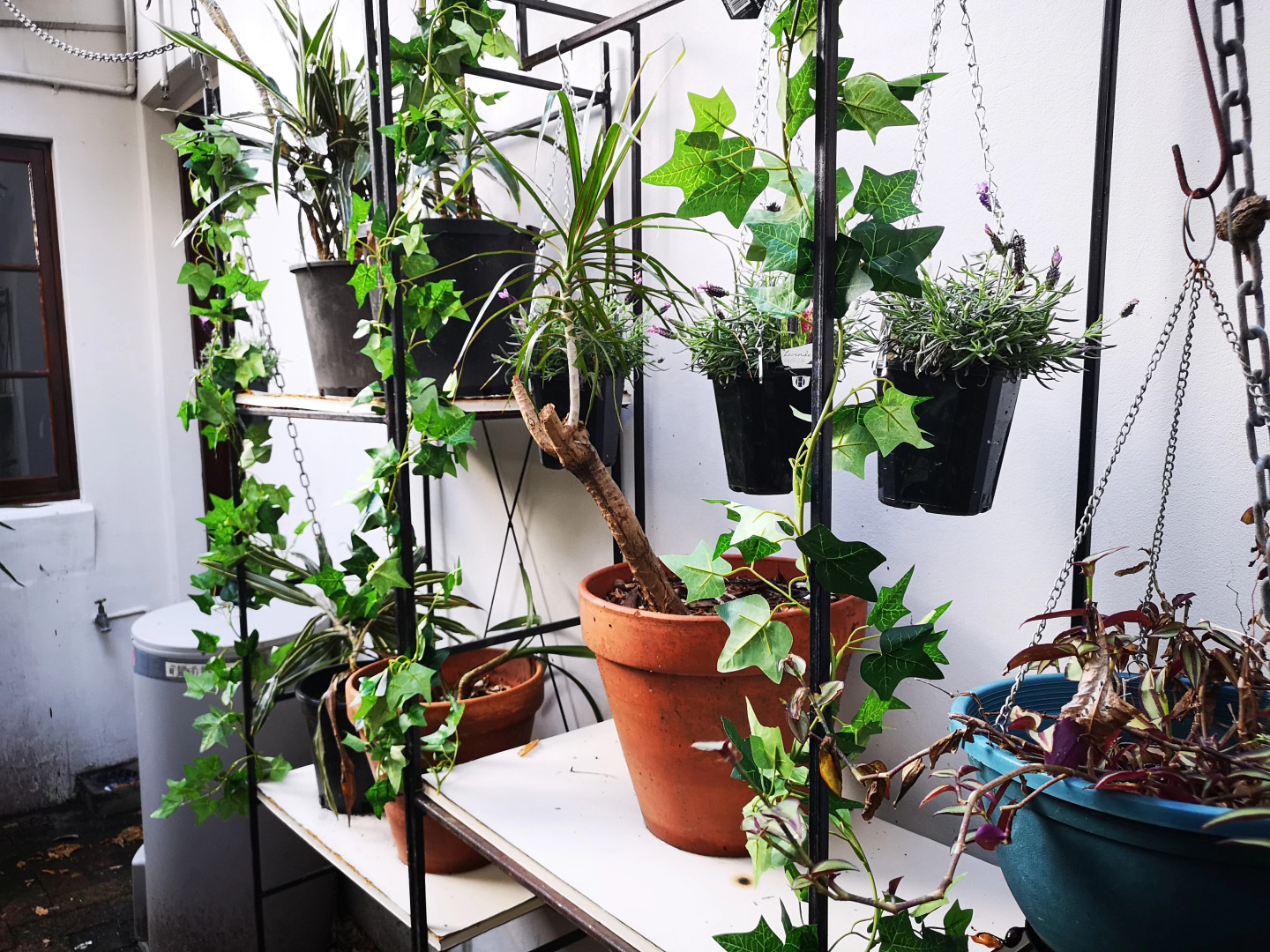 Foto - Newtown Cozy Stays