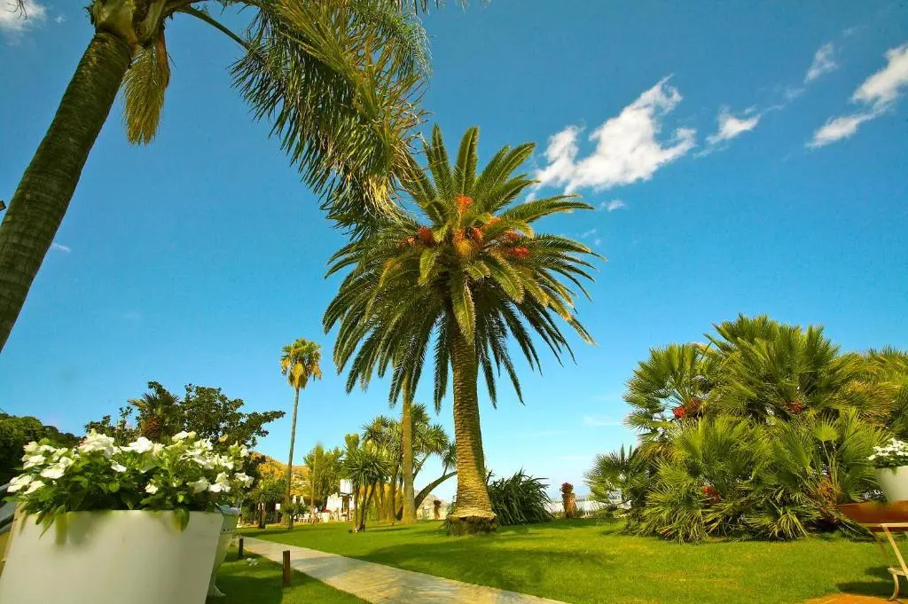 Foto - Hotel Caparena