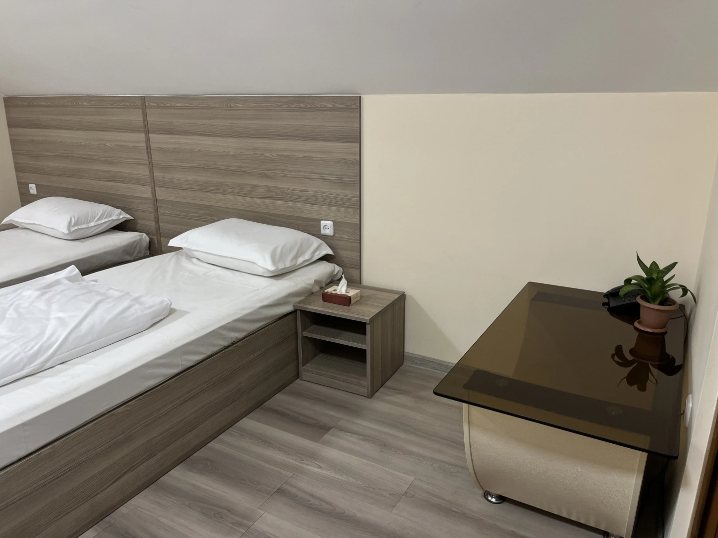 Foto - Olive hotel