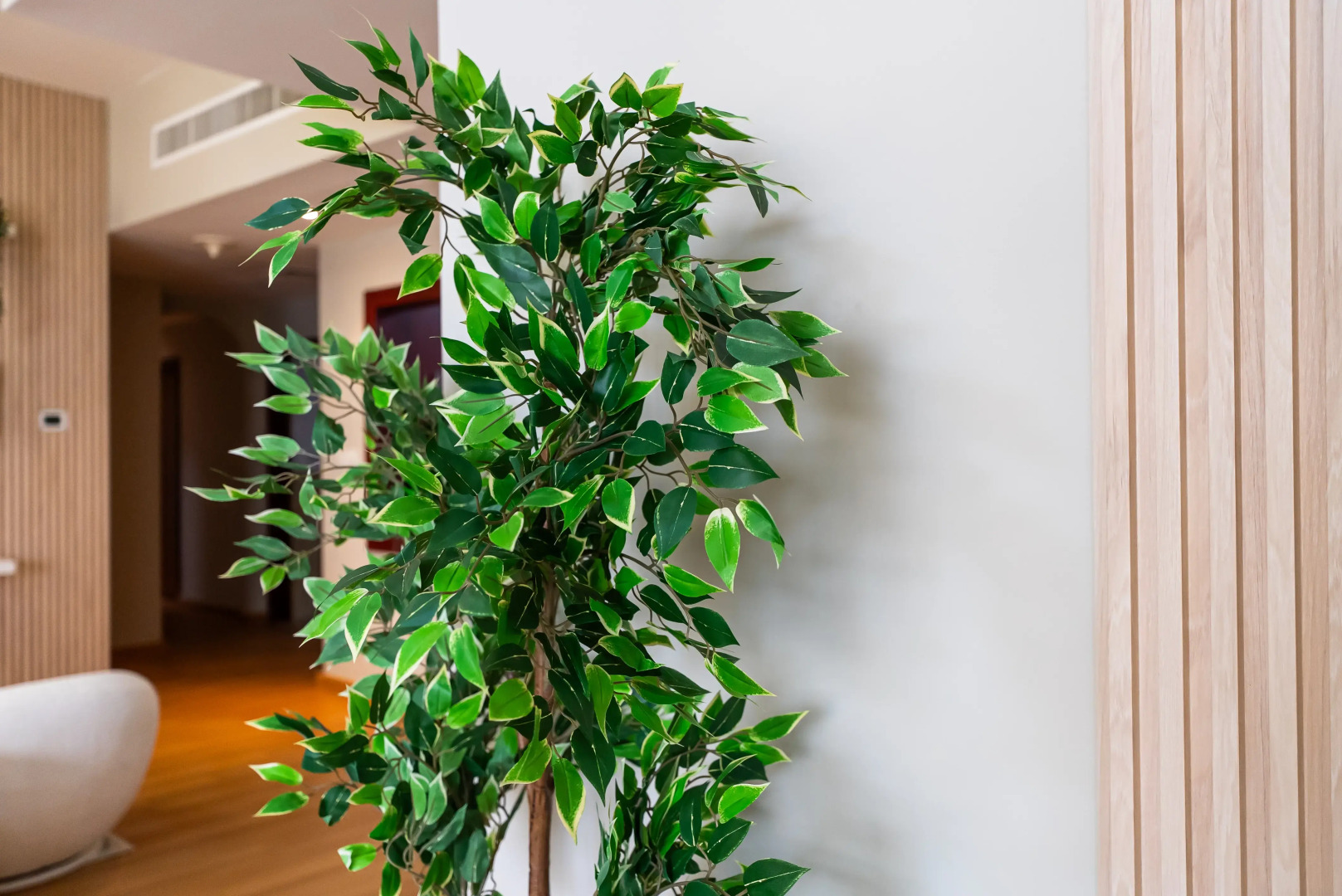 Foto - YouSleep Hostel - Beach View - 5 min from metro