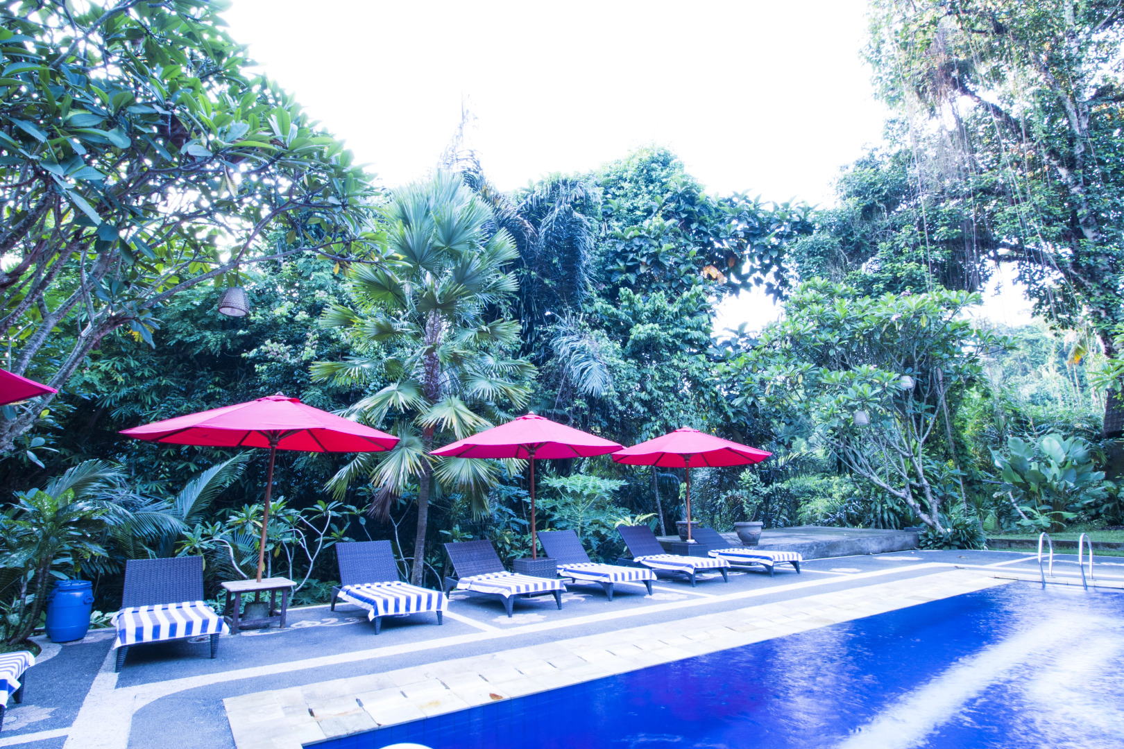 Foto - Alas Petulu Villa Resort and Spa