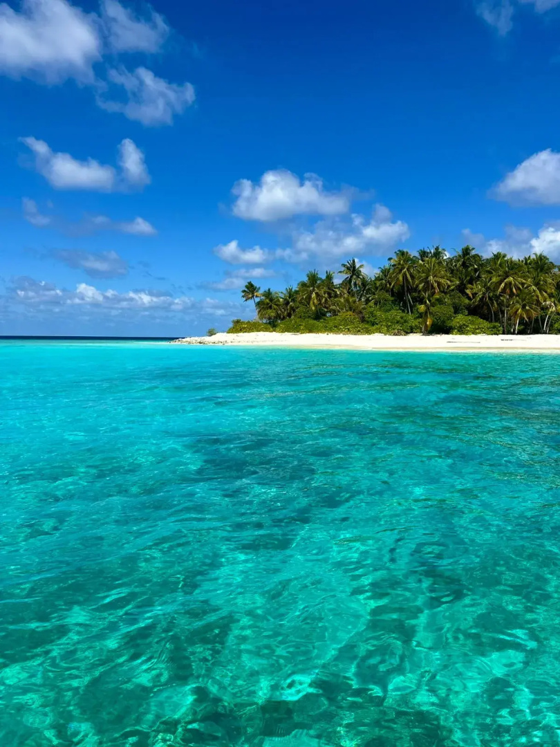 Photo - Oceana Inn Maldives -Free airport assistance at both international and domestic airports