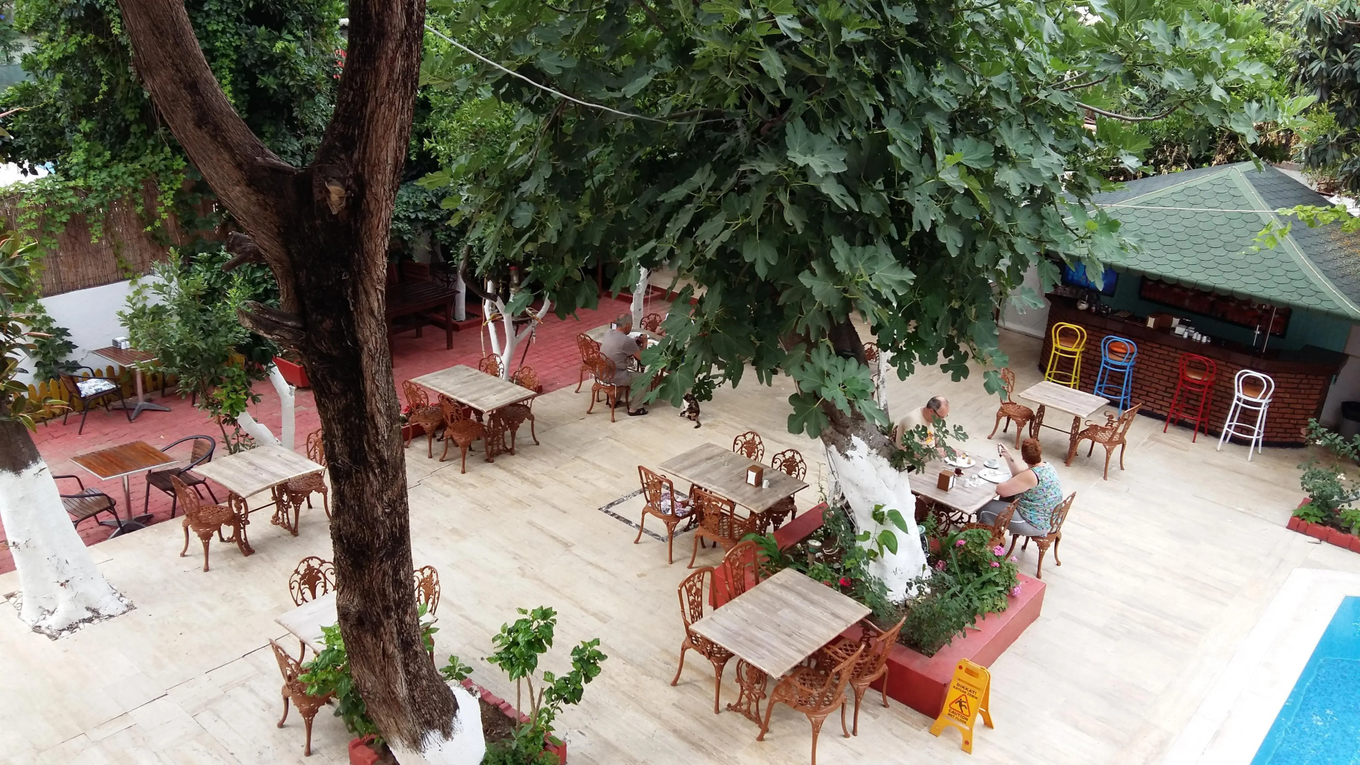 Foto - Kaliptus Hotel