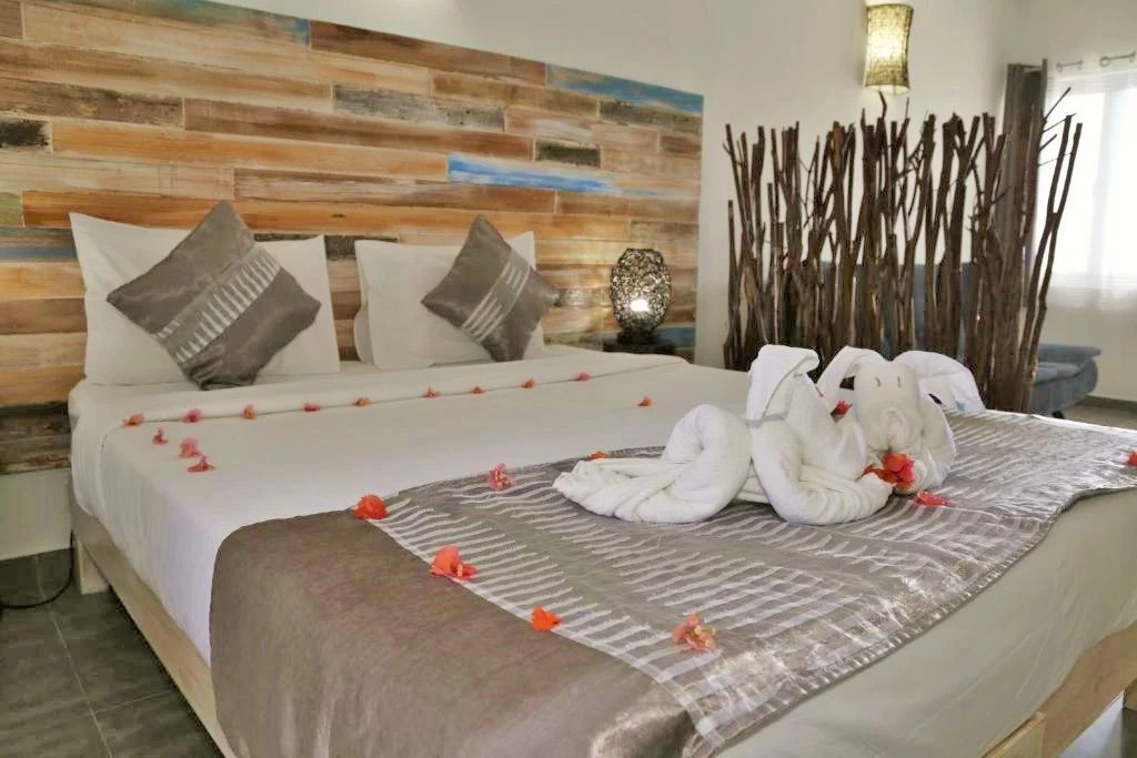 Photo - Stella Rina "Adults Only"