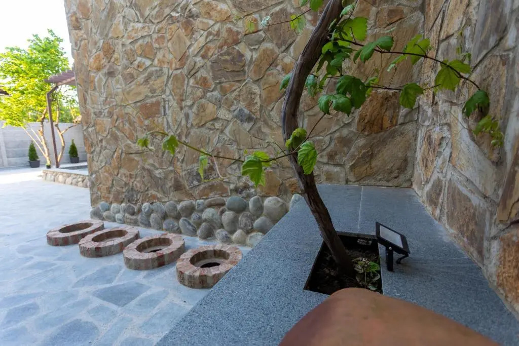 Foto - Hotel West Way