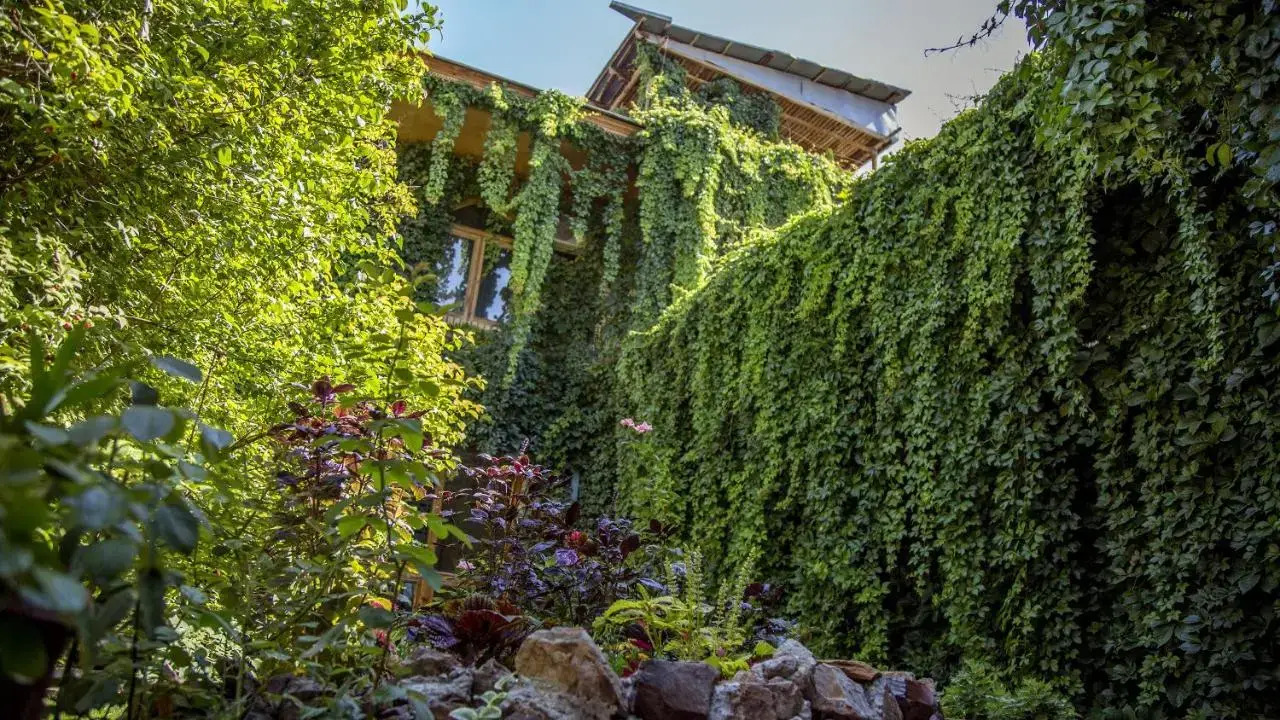 Photo - Hotel Caravan Serail