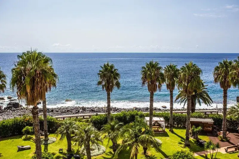 Photo - The Views Oasis