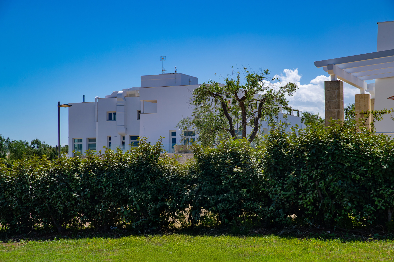 Foto - Cala Ponte, a Tribute Portfolio Hotel