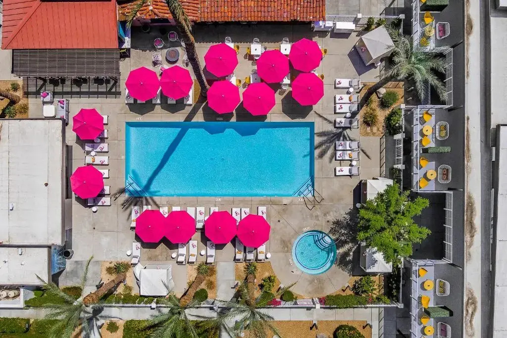 Photo - The Paloma Resort