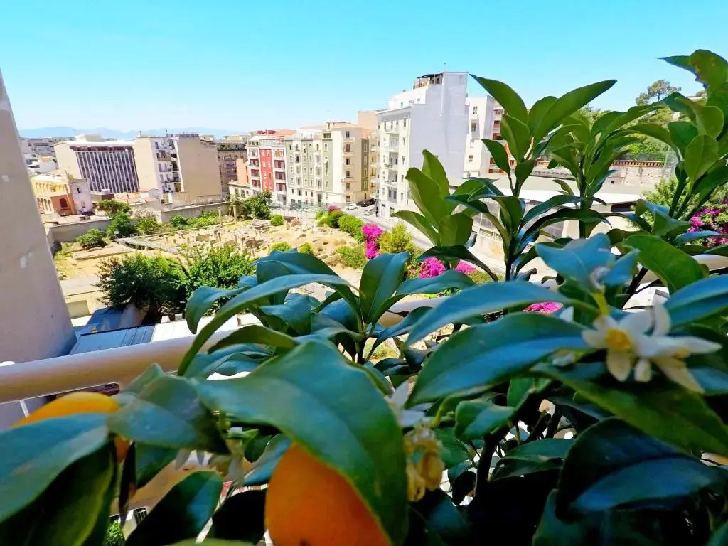 Foto - Colibrì Prestige Rooms - Roman Ruins View
