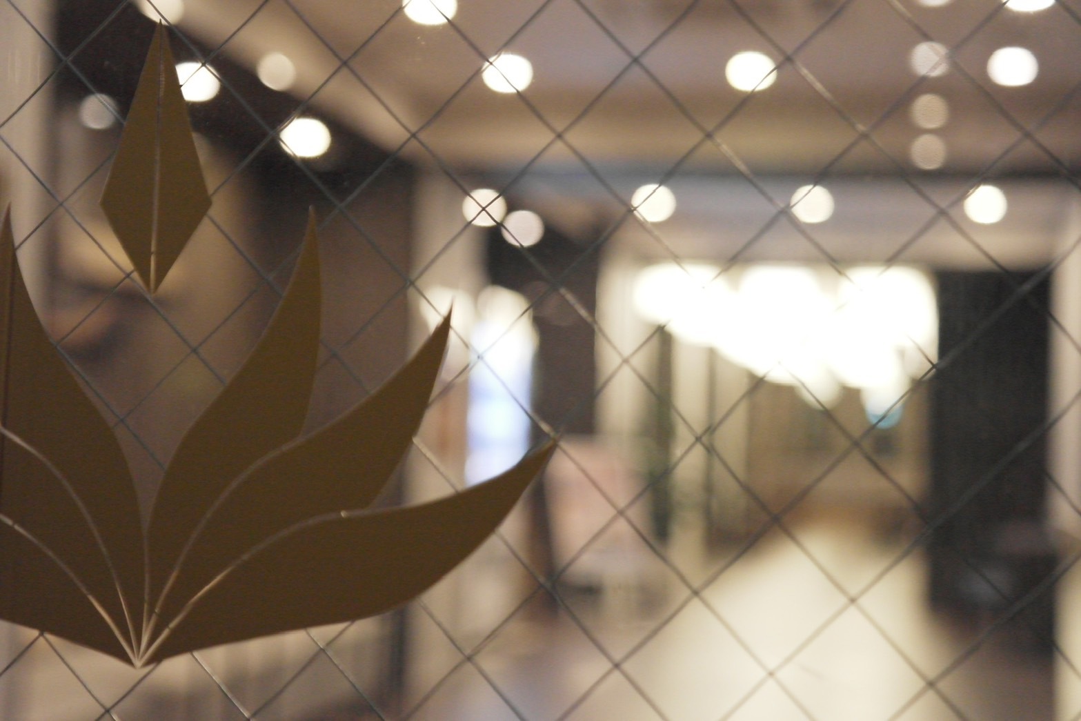 Photo - Doutonbori Crystal Hotel